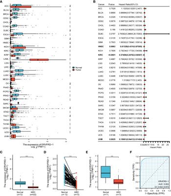 Endogenous retrovirus group FRD member 1 is a potential biomarker for prognosis and immunotherapy for kidney renal clear cell carcinoma